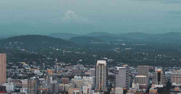 黑豹加速器下载安卓